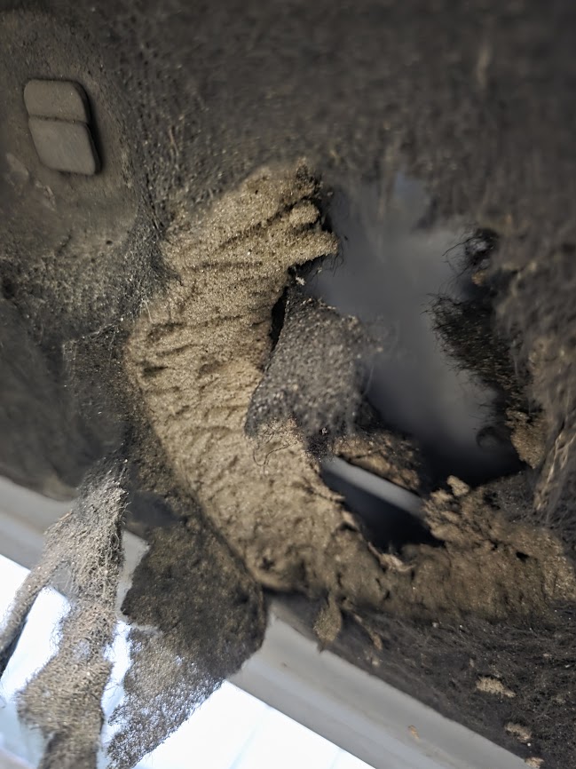 Aangeknaagde isolatie onder je motorkap kan tussen je bewegende motor onderdelen terechtkomen en kan dit voor ernstige schade zorgen...  Controleer regelmatig onder je motorkap naar aanwezigheid van geheime bewoners of bezoekers...  info door AutoglasGrimm